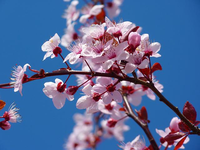 Photo 728616